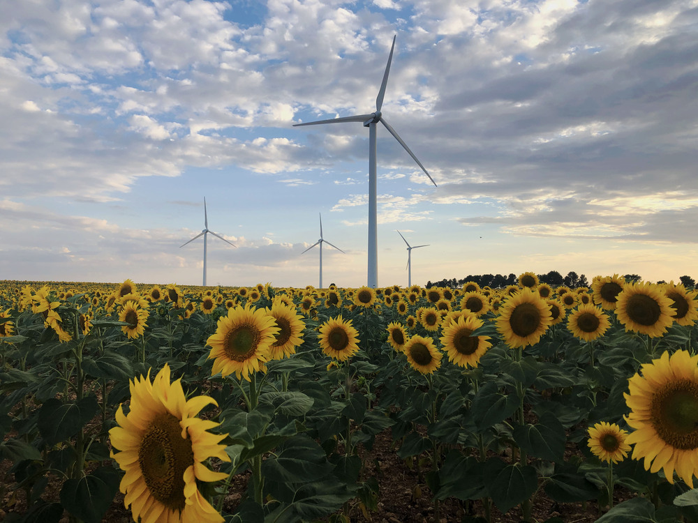 Iberdrola se anticipa a la transición energética con su alianza con los ODS